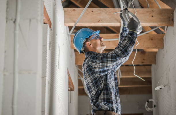 Best Commercial Electrician Services  in Livonia, MI