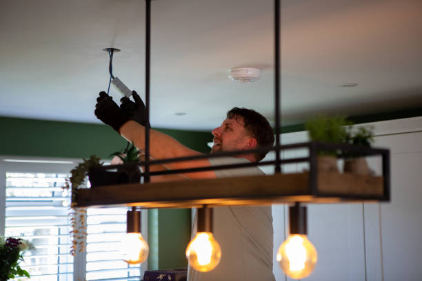 Best Electrical Rewiring Services  in Livonia, MI